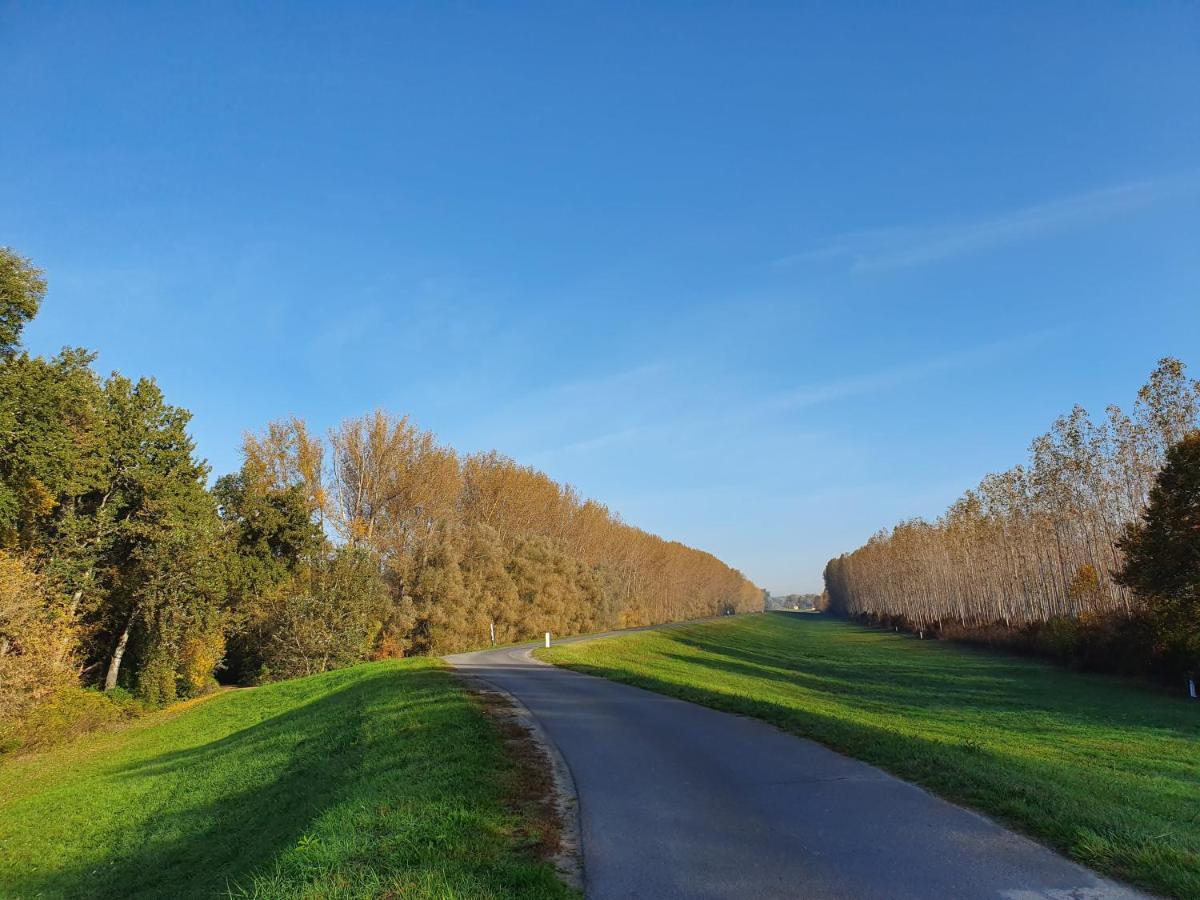 Penzión pre hostí Duna Drava Vendeghaz
